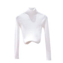 Load image into Gallery viewer, Autumn Winter Women Knitted Turtleneck Sweater Soft Casual Jumper Fashion Slim Femme Elasticity Sweater Top Newest
