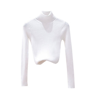 Autumn Winter Women Knitted Turtleneck Sweater Soft Casual Jumper Fashion Slim Femme Elasticity Sweater Top Newest