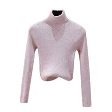 Load image into Gallery viewer, Autumn Winter Women Knitted Turtleneck Sweater Soft Casual Jumper Fashion Slim Femme Elasticity Sweater Top Newest
