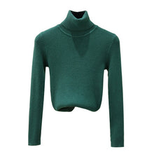 Load image into Gallery viewer, Autumn Winter Women Knitted Turtleneck Sweater Soft Casual Jumper Fashion Slim Femme Elasticity Sweater Top Newest

