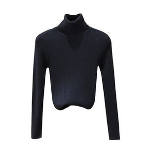 Autumn Winter Women Knitted Turtleneck Sweater Soft Casual Jumper Fashion Slim Femme Elasticity Sweater Top Newest