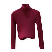 Load image into Gallery viewer, Autumn Winter Women Knitted Turtleneck Sweater Soft Casual Jumper Fashion Slim Femme Elasticity Sweater Top Newest
