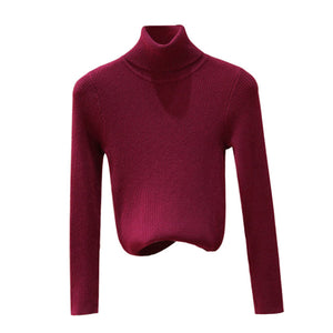 Autumn Winter Women Knitted Turtleneck Sweater Soft Casual Jumper Fashion Slim Femme Elasticity Sweater Top Newest